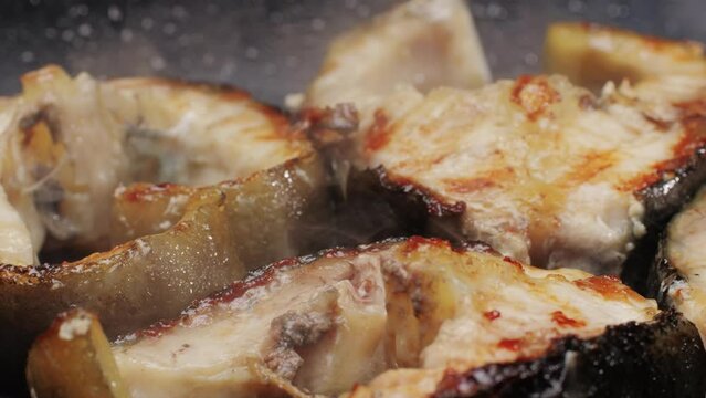 Cooking fillet sturgeon fish on grill or frying pan with oil close-up. Roast healthy food concept. Fry sturgeon, hake, cod fish steak pieces fillet with spice. Healthy diet food