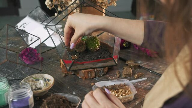 Florist decorates the soil in the glass florarium in his workshop with gilded decorative stones, creating a unique and eco-friendly element of interior design. Slow motion. Close up. 4k. High angle