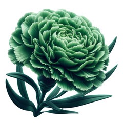 Obraz premium Stunning Green Carnation with Buds and Leaves