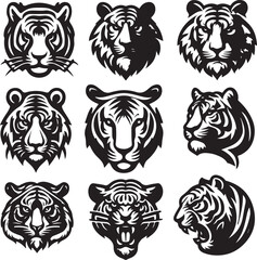 tiger bundle vector