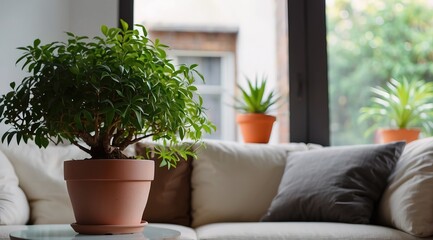 cozy living room potted plant and blurry background