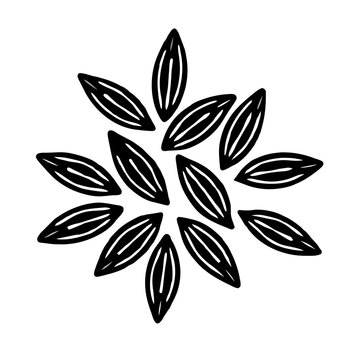 Vector Illustration of Black Cumin Seeds (Nigella Sativa) on Transparent Background