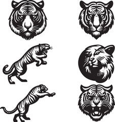 tiger bundle vector