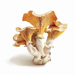 Whimsical Mushroom Illustration for Food or Nature Designs Generative AI