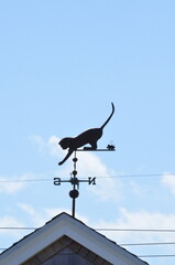Weathervane cat on a roof