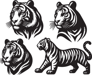 tiger bundle vector