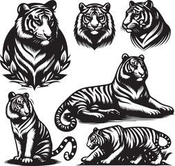 tiger bundle vector