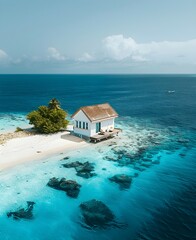 house on a paradise island in the Caribbean sea, aerial view, ocean turquoise water, paradise vacation, privacy, hot summer, heaven on earth, tourism and travel