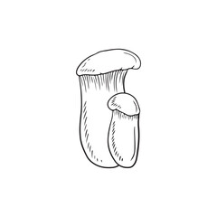Two realistic leurotus eryngii in black isolated on white background. Hand drawn vector sketch illustration in doodle vintage engraved style. Concept of japanese tasty delicious gourmet for cooking.