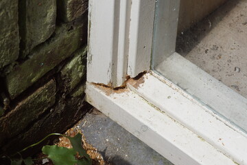 Closeup basement window frame with wood rot in a corner that has been removed for repair. Algae on...