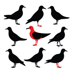 Set of Seagull animal Silhouette Vector on a white background