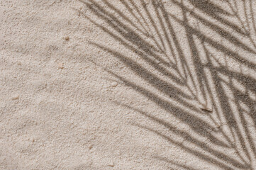Obraz na płótnie Canvas Summer tropical natural aesthetic background, neutral beige sand stone texture with floral sunlight shadow silhouette of palm tree foliage, business branding template