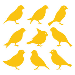 Set of Canary animal Silhouette Vector on a white background