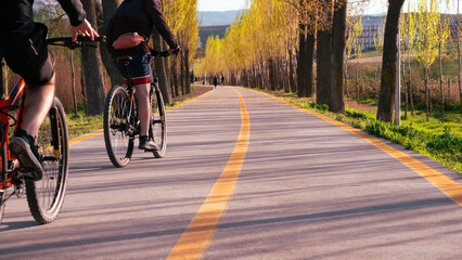 Two cyclists ride along a scenic, tree-lined paved path in the park during a sunny spring...
