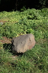 Stone in the meadow.