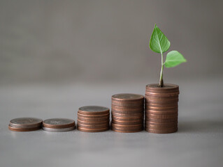 Growth and prosperity intertwined. A plant emerges from a stack of coins, symbolizing flourishing wealth. Generative AI