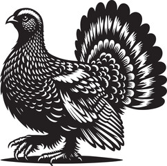 grouse Vector Illustration