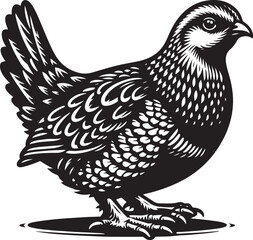 grouse Vector Illustration