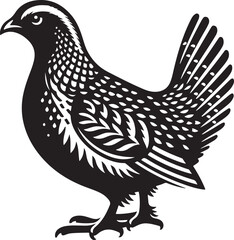 grouse Vector Illustration