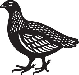 grouse Vector Illustration