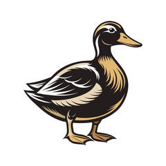 Illustration of a duck  vector art