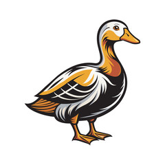 Duck High Quality Vector illustration