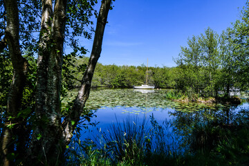 Fototapete bei efototapeten.de bestellen   