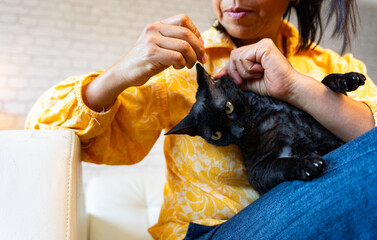Woman cleaning her kitten ears with a cotton swab from the couch at home