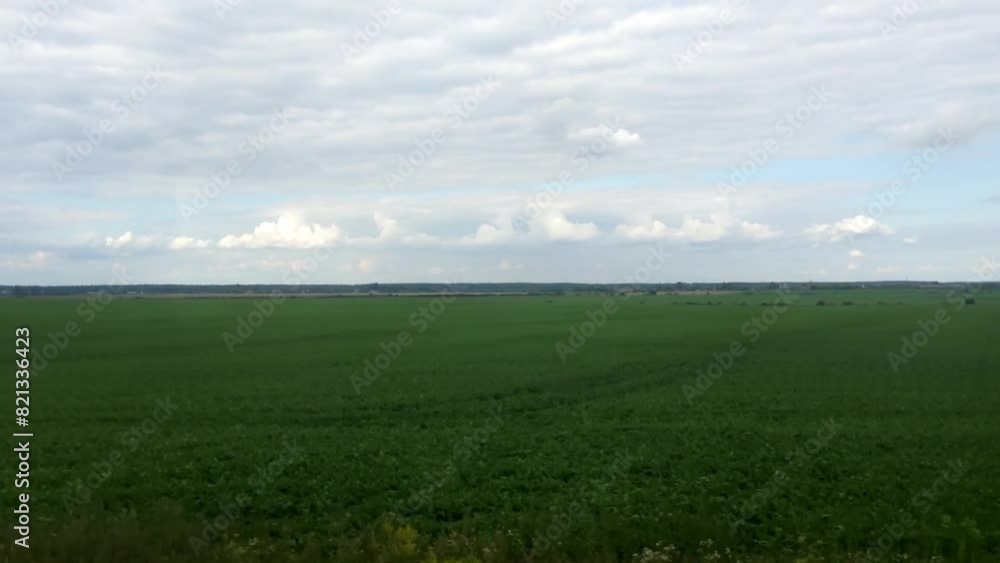 Poster a large field of green grass with a cloudy sky in the background