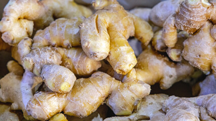 Bunch of Ginger Roots Spice in Box Farmers Market