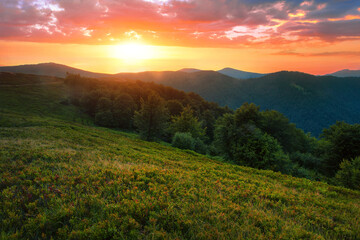 summer foggy scenery, scenic sunset view in the mountains, Carpathian mountains, Ukraine, Europe	