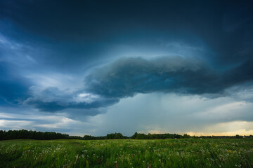 A stormy sky hangs over a grassy field with trees in the backdrop