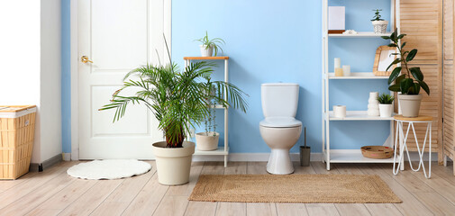 Interior of restroom with toilet bowl, shelving units and houseplants near blue wall