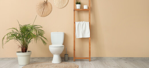 Interior of restroom with toilet bowl, ladder and houseplants near beige wall. Banner for design