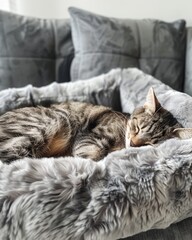 A cat is sleeping in a bed with a grey blanket