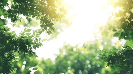 The photo shows a blurred view of green leaves of a tree with the sun shining through them