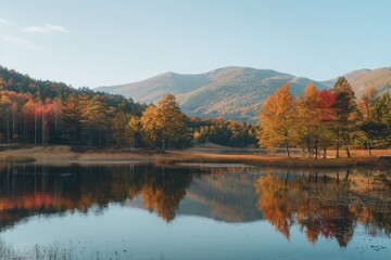 Serene autumn landscape with trees in full swing, their leaves of various shades of orange