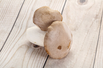 Raw Eringi mushrooms for cooking