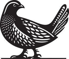 grouse vector illustration