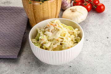 Dietary tasty Cole slaw salad