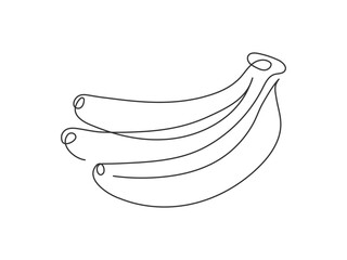 Bunch of bananas Continuous line drawn. Black and white modern simple illustration. Ripe tropical exotic fruit. Element for design. Ingredient for juice, smoothie, dessert