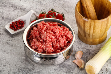 Minced beef meat in the bowl