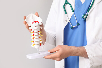 Male doctor holding spine model on grey background