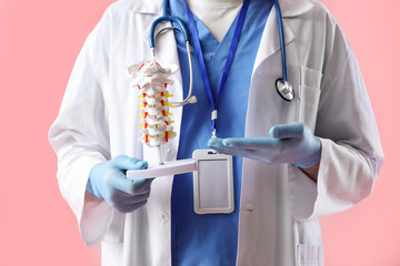 Male doctor showing spine model on pink background