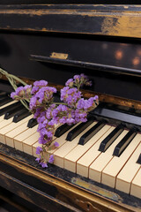 purple statice flowers lie on an old shabby piano. holiday card