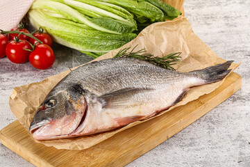 Raw dorada fish served rosemary