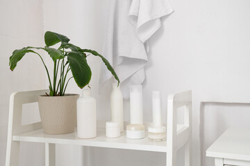 Skincare products with plant on shelf in light bathroom