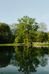 lake in the park