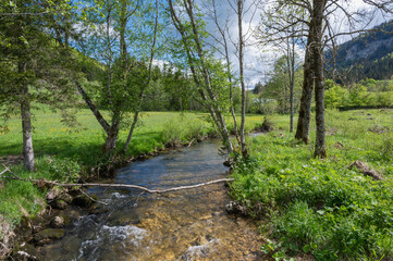 la Valserine, rivière sauvage