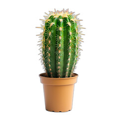 A high-resolution image depicting an intricate mosaic pattern of abstract geometric shapes and vibrant colors, resulting in a visually striking and detailed design.